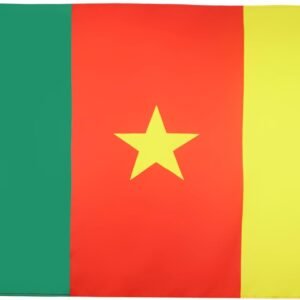 AZ FLAG Cameroon Flag 2' x 3' - Cameroonian flags 60 x 90 cm - Banner 2x3 ft