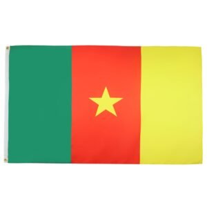 Cameroon Flag 5' x 8' - Cameroonian Big flags 150 x 250 cm - Banner 5x8 ft - AZ FLAG